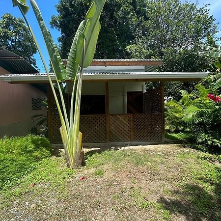 Ballena Oasis Homes Uvita Eksteriør bilde