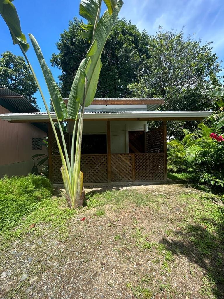 Ballena Oasis Homes Uvita Eksteriør bilde